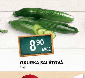 Terno Okurka salátová nabídka