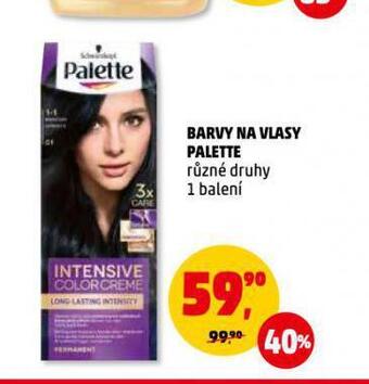 Penny Market Palette barvy na vlasy nabídka