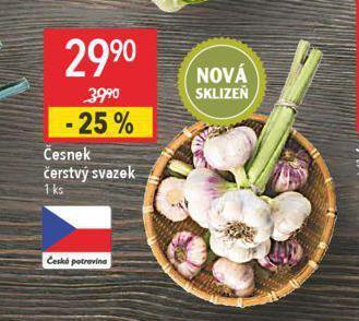 Česnek