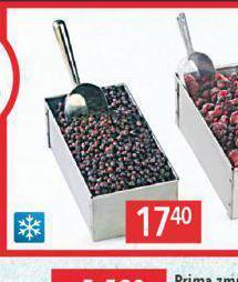 Globus Mražené ovoce nabídka