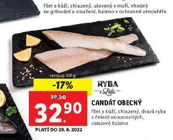 Lidl Candát obecný nabídka