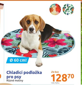 Action Chladicí podložka pro psy nabídka