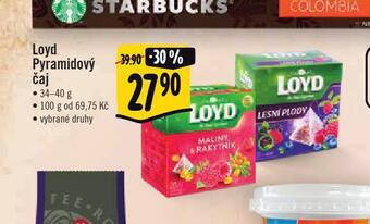 Loyd pyramidový čaj