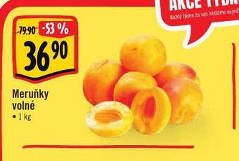 Jip Meruňky nabídka