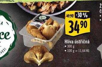 Albert Hlíva ústřičná nabídka