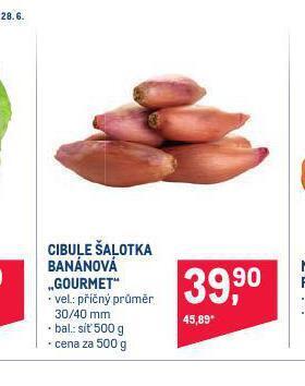 Cibule šalotka banánová