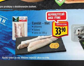 Albert Candát filet nabídka