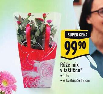 Albert Růže mix v taštičce nabídka