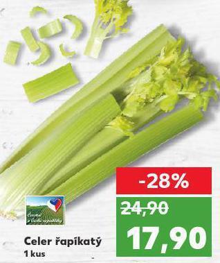 Kaufland Celer řapíkatý nabídka