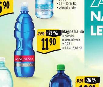Albert Magnesia go nabídka