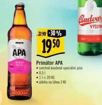 Albert Pivo primátor apa nabídka