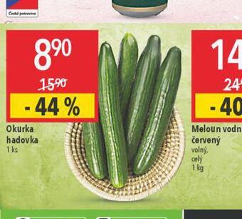 Globus Okurka hadovka nabídka