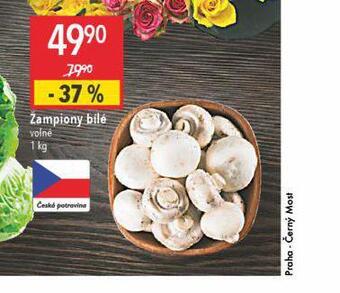 Globus Žampiony bílé nabídka