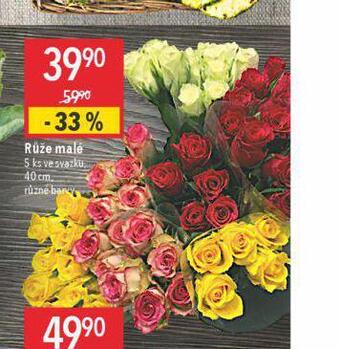 Globus Růže malé nabídka