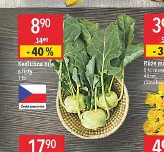 Globus Kedlubna bílá nabídka