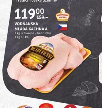 Terno Mladá kachna nabídka
