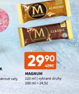 Terno Zmrzlina magnum nabídka