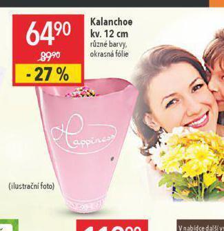 Globus Kalanchoe nabídka