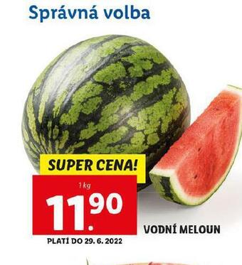 Lidl Meloun vodní nabídka