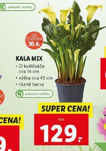 Lidl Kala mix nabídka