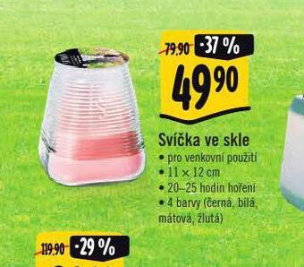 Albert Svíčka ve skle nabídka