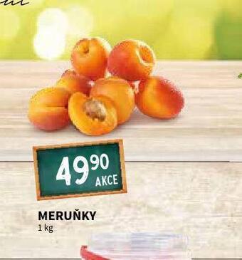 Terno Meruňky nabídka