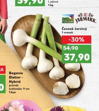 Kaufland Česnek čerstvý nabídka