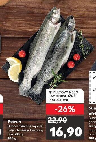 Kaufland Pstruh nabídka