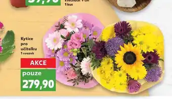 Kaufland Kytice pro učitelku nabídka