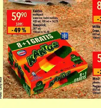 Kaktus
