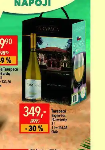 Globus Tarapacá nabídka