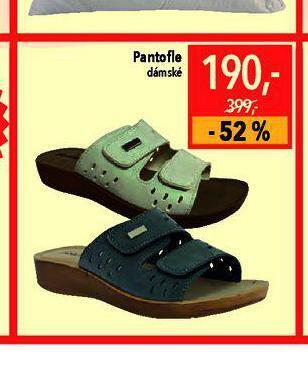 Globus Dámské pantofle nabídka