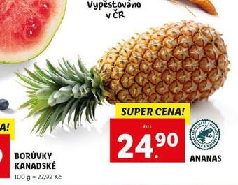 Lidl Ananas nabídka