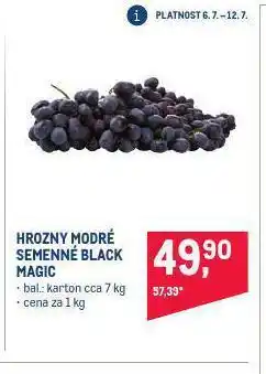Makro Hrozny modré nabídka
