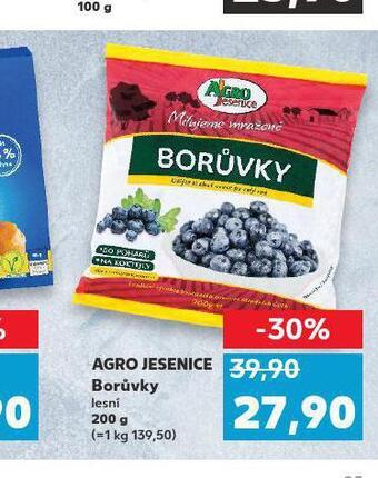 Kaufland Borůvky nabídka