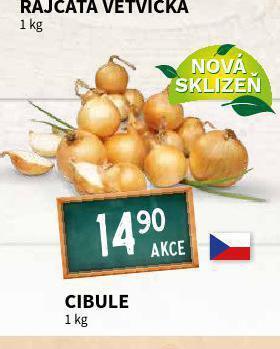 Terno Cibule nabídka