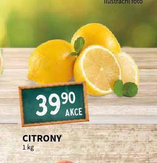 Terno Citrony nabídka