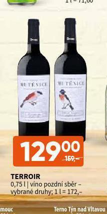 Terno Terroir nabídka