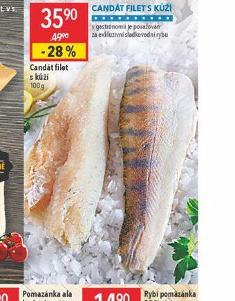 Globus Candát filet nabídka