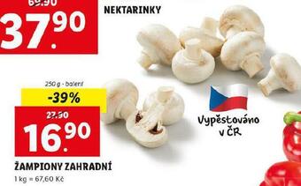 Lidl Žampiony nabídka