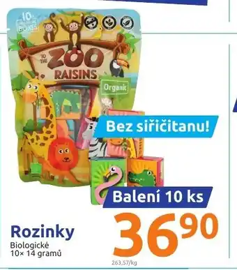 Action Rozinky 10 ks nabídka