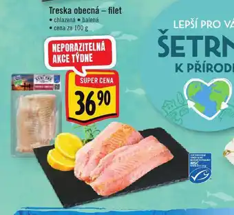 Jip Treska obecná filet nabídka