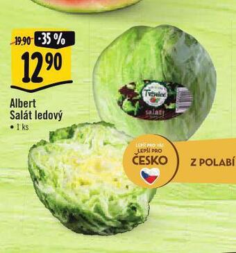 Albert Salát ledový nabídka