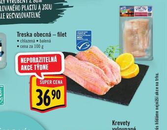 Albert Treska obecná - filet nabídka