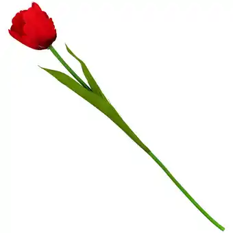 Action Umělý tulipán nabídka