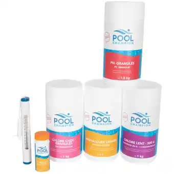 Action Sada na čištění bazénů Pool Champion nabídka