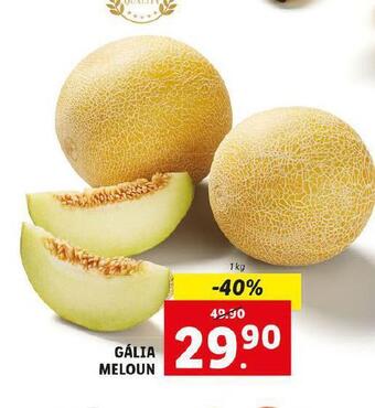 Lidl Gália meloun nabídka