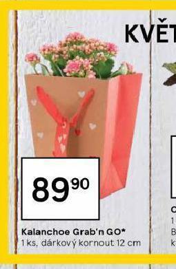 Tesco Kalanchoe grab´n go nabídka