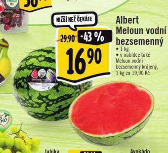 Jip Meloun vodní nabídka