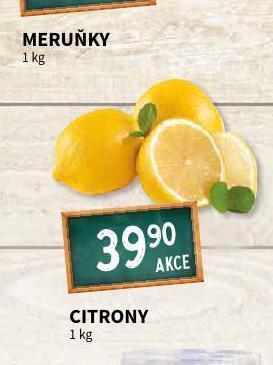 Terno Citrony nabídka